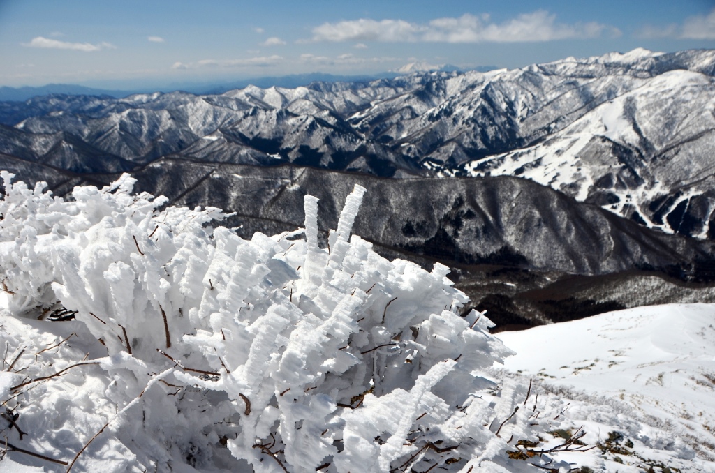 2016/3/26 平標山　（松手山コース）_a0340812_17181549.jpg