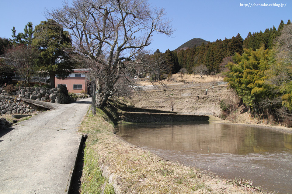 c0189013_543841.jpg