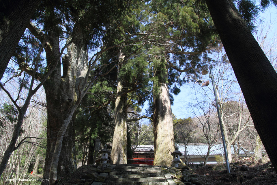 c0189013_6271325.jpg