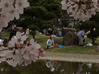 近場のお花見　　住吉公園_d0013513_1443282.jpg