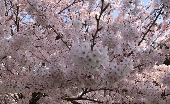 b0325317_08574275.jpeg