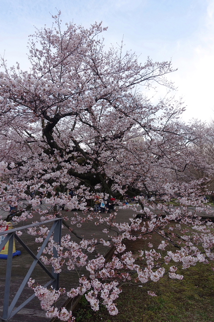 自由が丘から大岡山散歩_a0105819_1361096.jpg