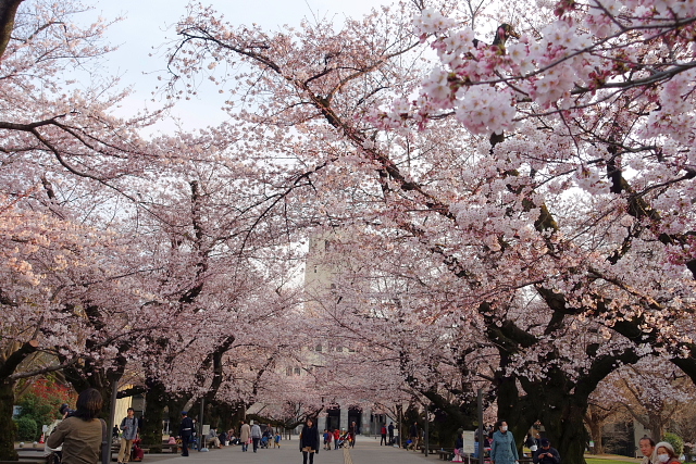 自由が丘から大岡山散歩_a0105819_137212.jpg