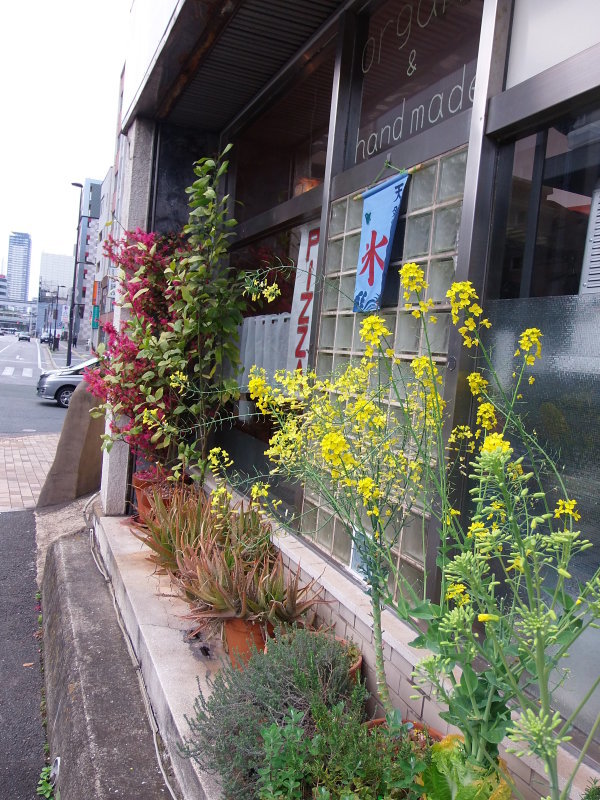 急遽、始まりました「かき氷」_a0125419_20314409.jpg