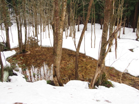 b0147224_1141103.jpg