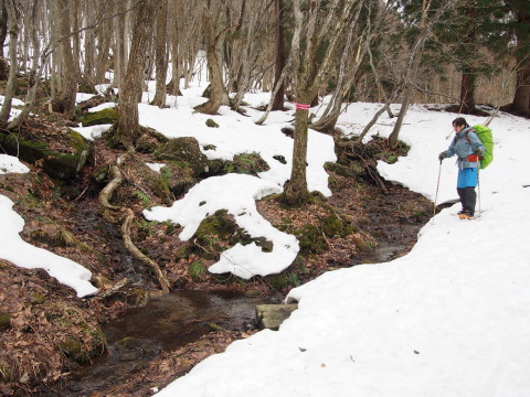 b0147224_11441780.jpg
