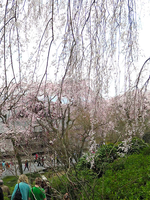 d0352628_15341228.jpg