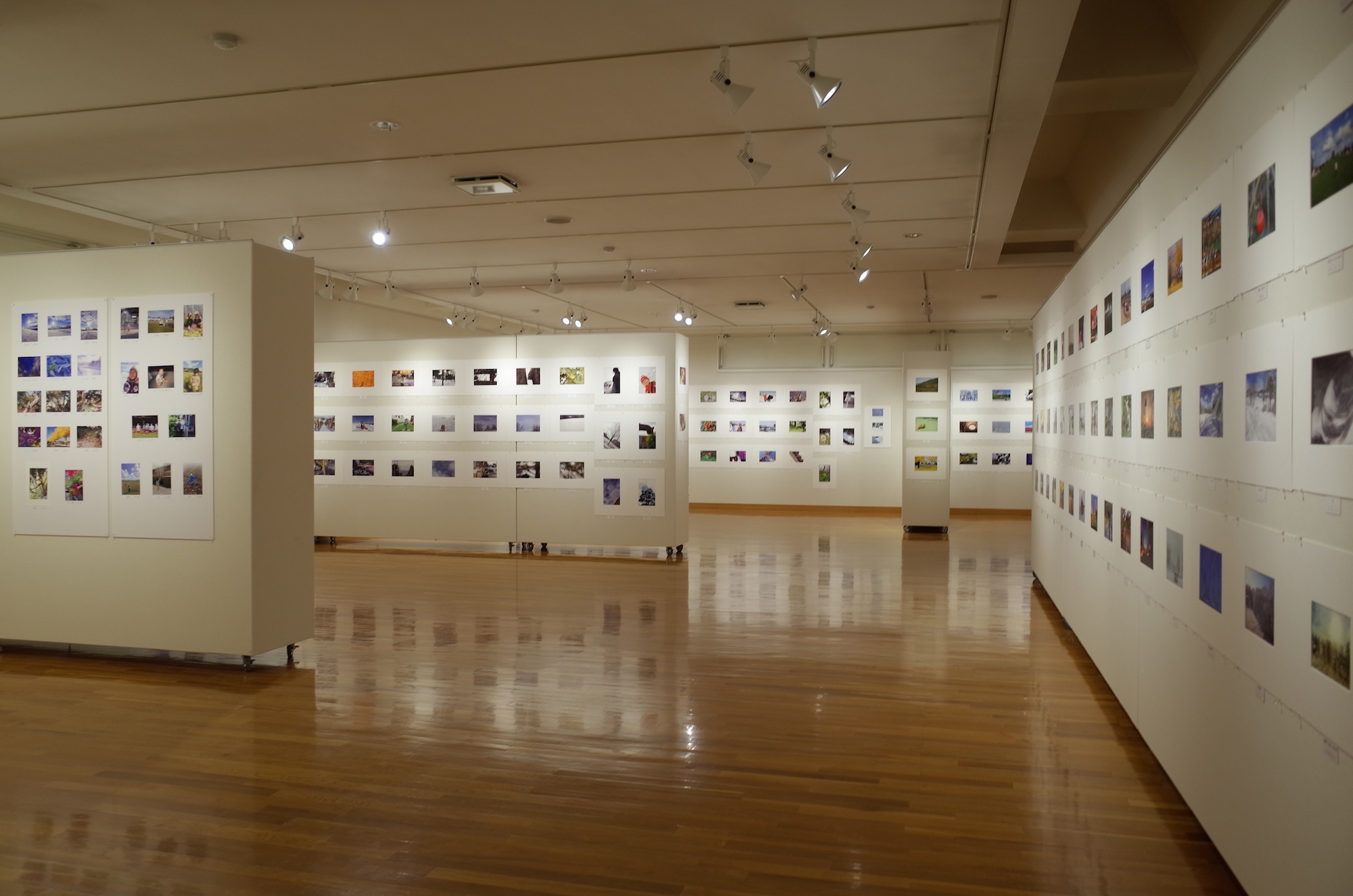 東川町文化ギャラリー展示情報 _b0187229_18581985.jpg