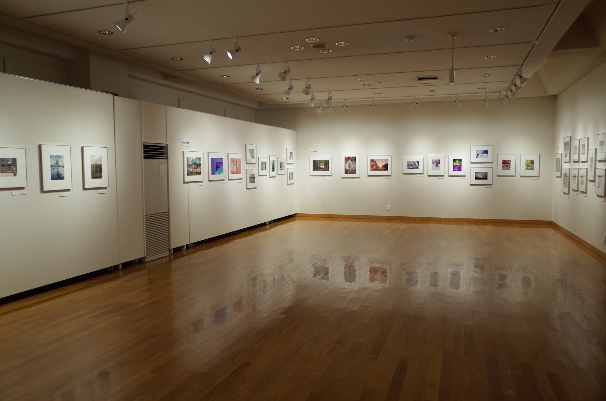 東川町文化ギャラリー展示情報 _b0187229_1858723.jpg