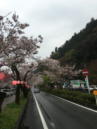 大井川鉄道_d0169930_21364783.jpg