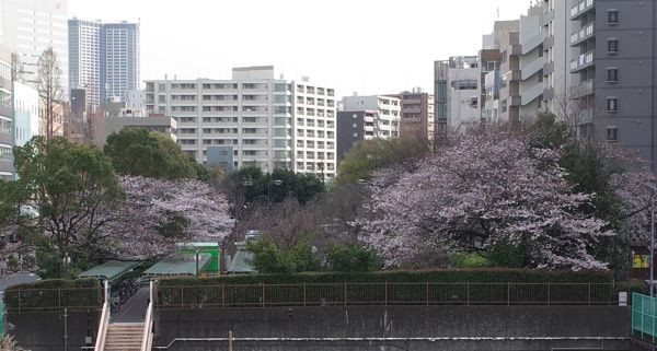 f0132230_9541495.jpg