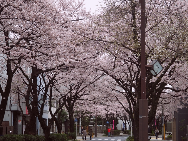 c0117831_20151474.jpg
