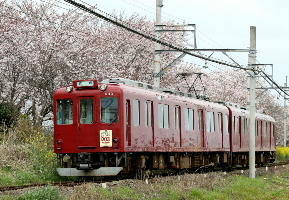 さよなら　養老鉄道D03_b0314633_14124358.jpg