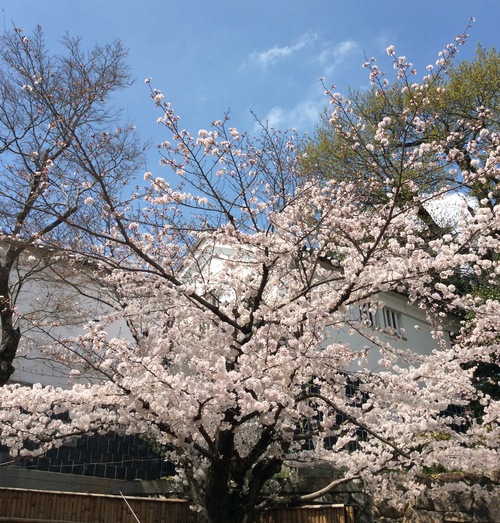 f0039933_23322718.jpg