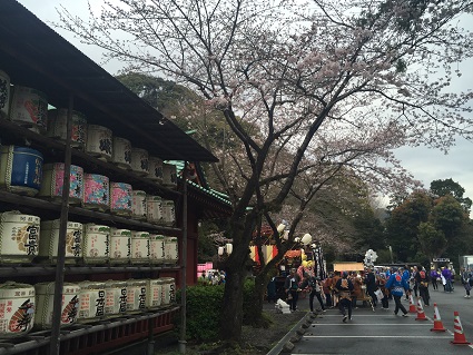 浅間神社の桜_e0139234_8563662.jpg