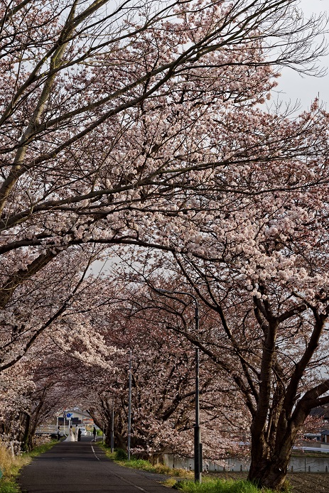 f0274536_7162134.jpg