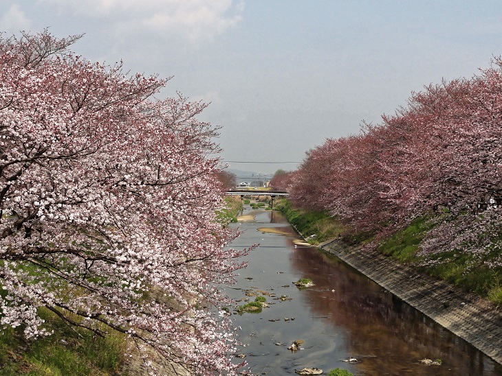 f0274536_7164637.jpg
