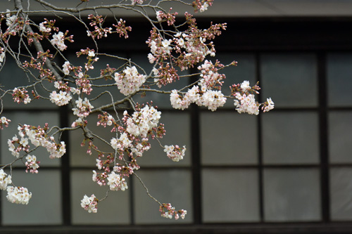 f0206939_023163.jpg