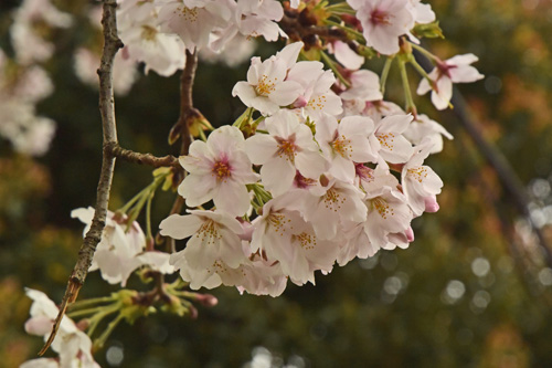 f0206939_23272112.jpg