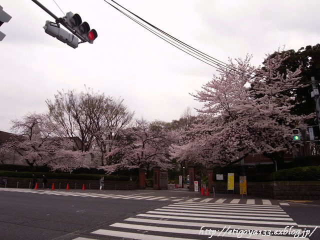 d0350542_00022400.jpg