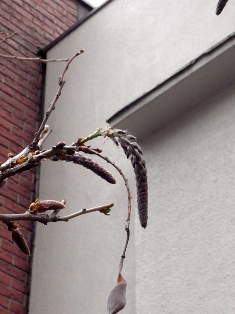 d0350542_00022437.jpg