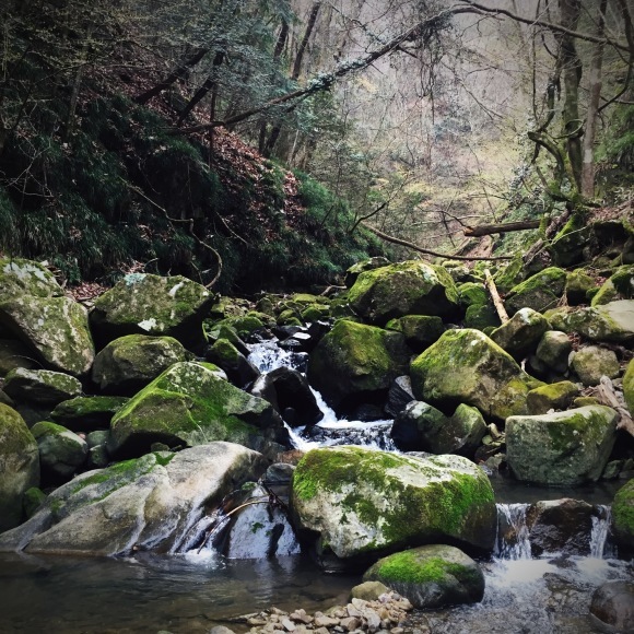 化石を探しに行ってきました。4/2〜長野 阿南町_c0312349_18104255.jpeg