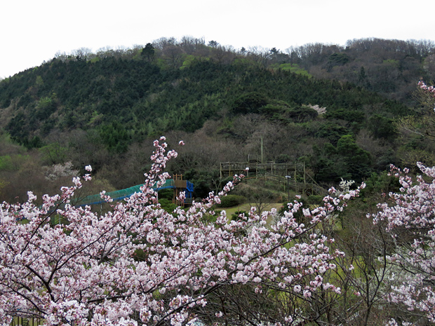 f0214649_5206.jpg