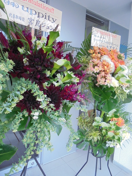 本日開店 美容室ケージクラス 花灯 Hanabi 栃木県宇都宮市の花屋です