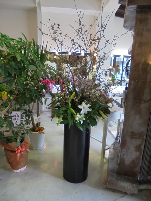 本日開店 美容室アピティー様 花灯 Hanabi 栃木県宇都宮市の花屋です 本日開店 美容室アピティー様 花灯 Hanabi 栃木県宇都宮市の花屋です