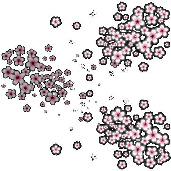 b0133752_218219.gif