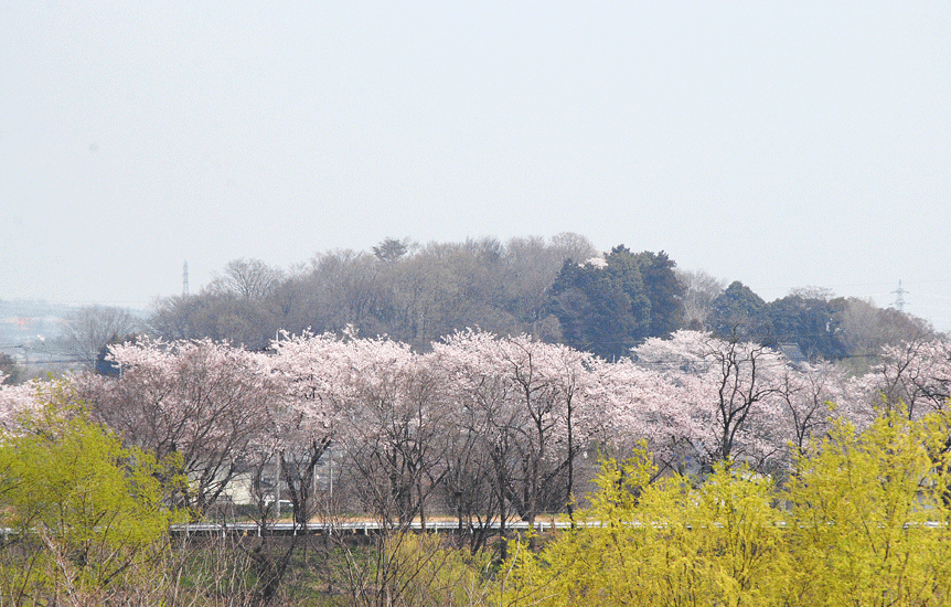 4月2日　吉岡町緑地運動公園より遠望_a0001354_23363194.gif