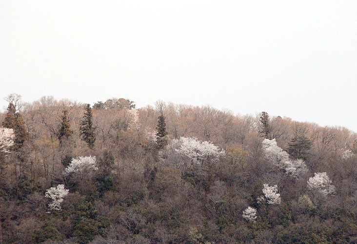 a0001354_23453586.gif