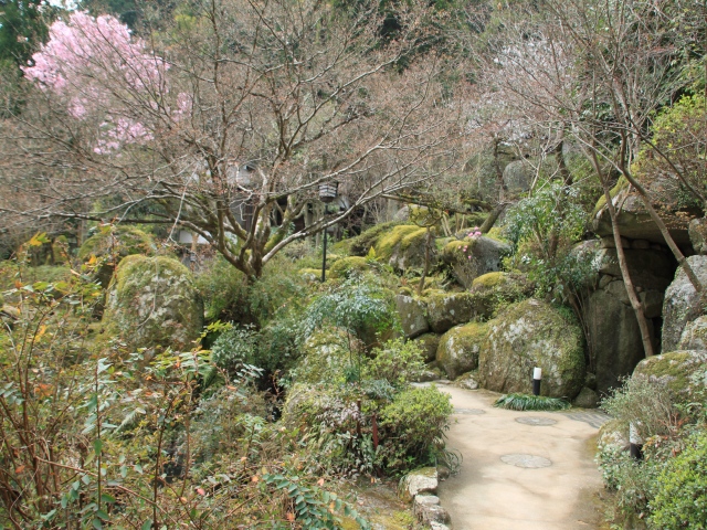 九州の小京都、秋月の桜を尋ねて_b0124456_2024195.jpg