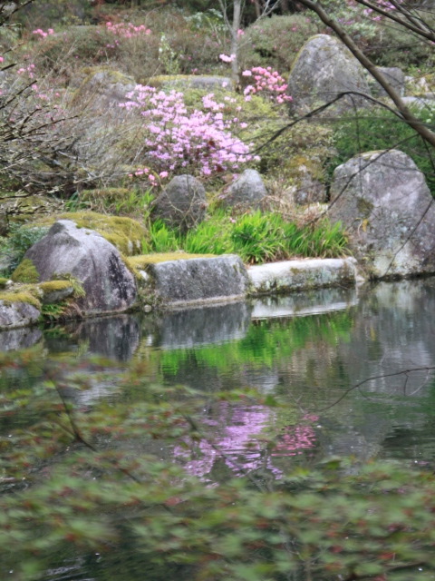 九州の小京都、秋月の桜を尋ねて_b0124456_2062251.jpg