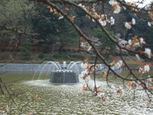 九州の小京都、秋月の桜を尋ねて_b0124456_21151015.jpg