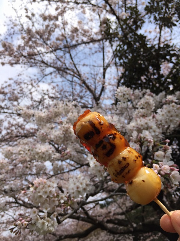 お花見_b0117564_16485811.jpg