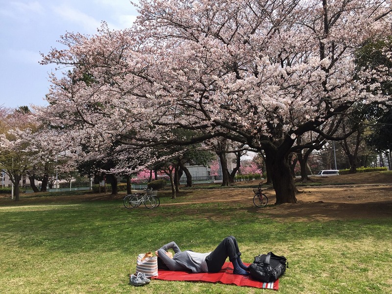 お花見_b0117564_16512653.jpg