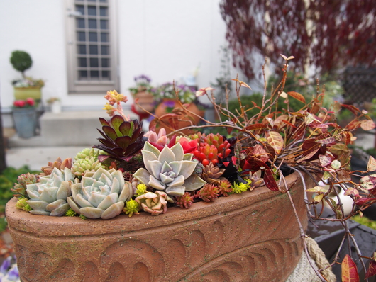 b0194267_20101310.jpg