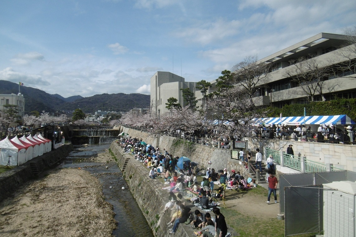 さくら祭り_f0205367_17035898.jpg