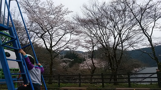 プチ便り( 春休み② )_a0206870_2334657.jpg