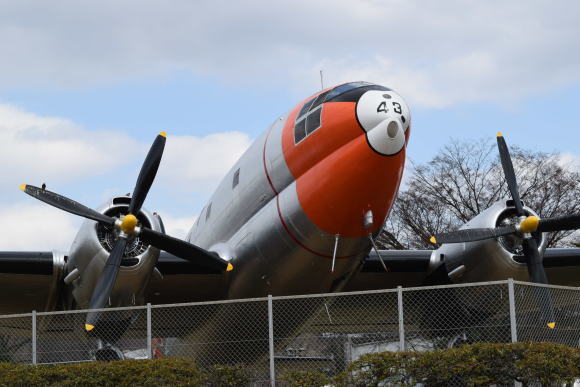 ♪ ダニエル 航空公園～楽しい撮影会～(*ﾟ▽ﾟ*) ♪_b0242873_00544116.jpg