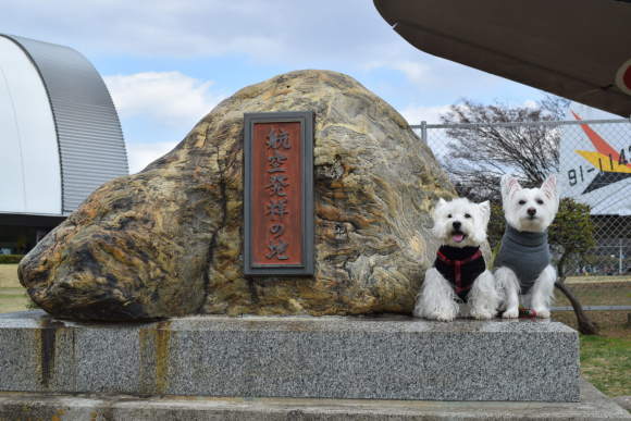 ♪ ダニエル 航空公園～楽しい撮影会～(*ﾟ▽ﾟ*) ♪_b0242873_00564480.jpg