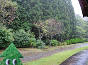 f0140773_15444444.gif