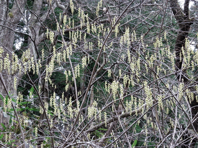f0140773_15535986.gif
