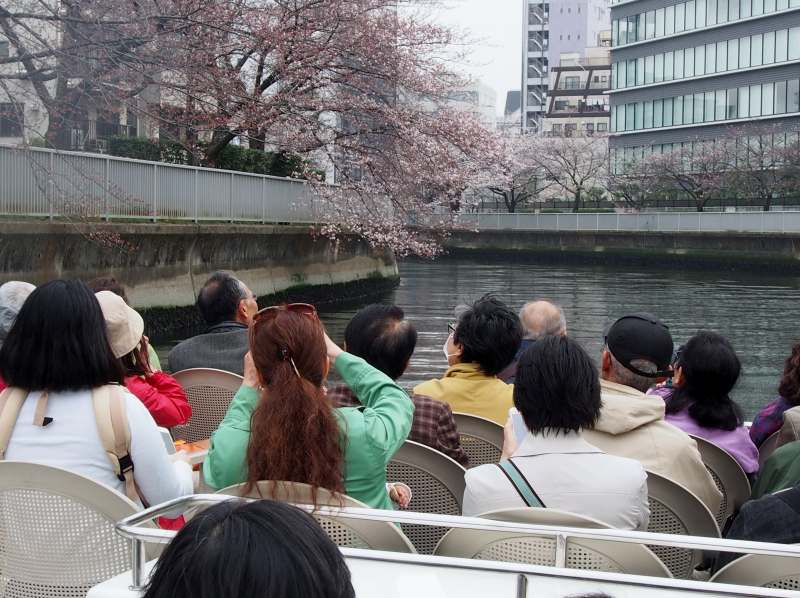 神田川めぐりと深川の桜周遊クルーズ ０３３０_c0183777_17481777.jpg