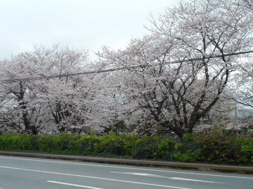 c0329378_18214144.jpg