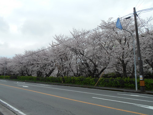 c0329378_18221012.jpg