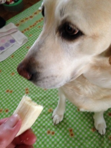 f0315081_17535176.jpeg