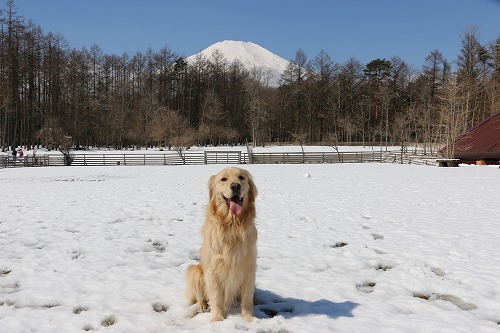 woofへ♪_c0172184_14443109.jpg