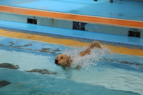 woofへ♪_c0172184_14461125.jpg